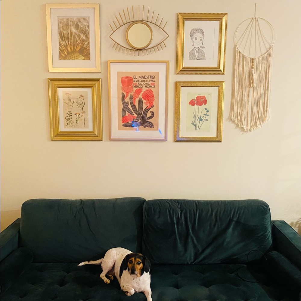 Society6 cactus poster